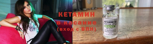 сатива Володарск