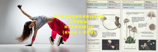 сатива Володарск