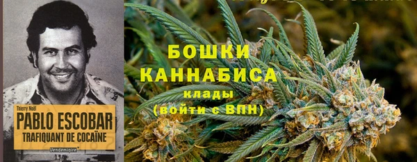 сатива Володарск
