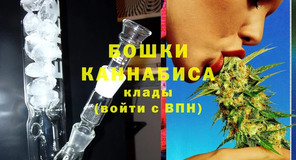 сатива Володарск