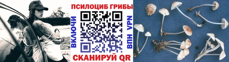 Псилоцибиновые грибы GOLDEN TEACHER  Сертолово 