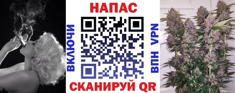 Шишки марихуана планчик  mega вход  Сертолово  наркошоп 
